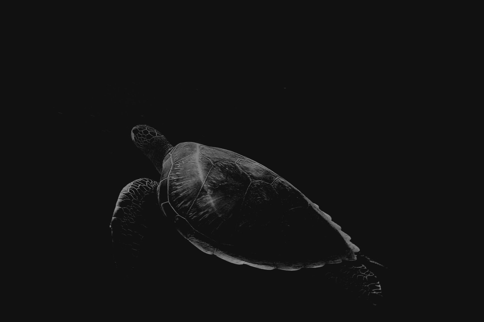 Photography Is The Best & Great Hidden Talent